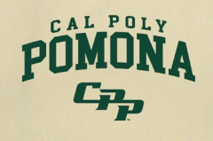 Pomonana HandBags