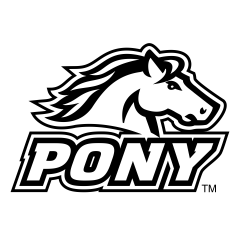 Pony